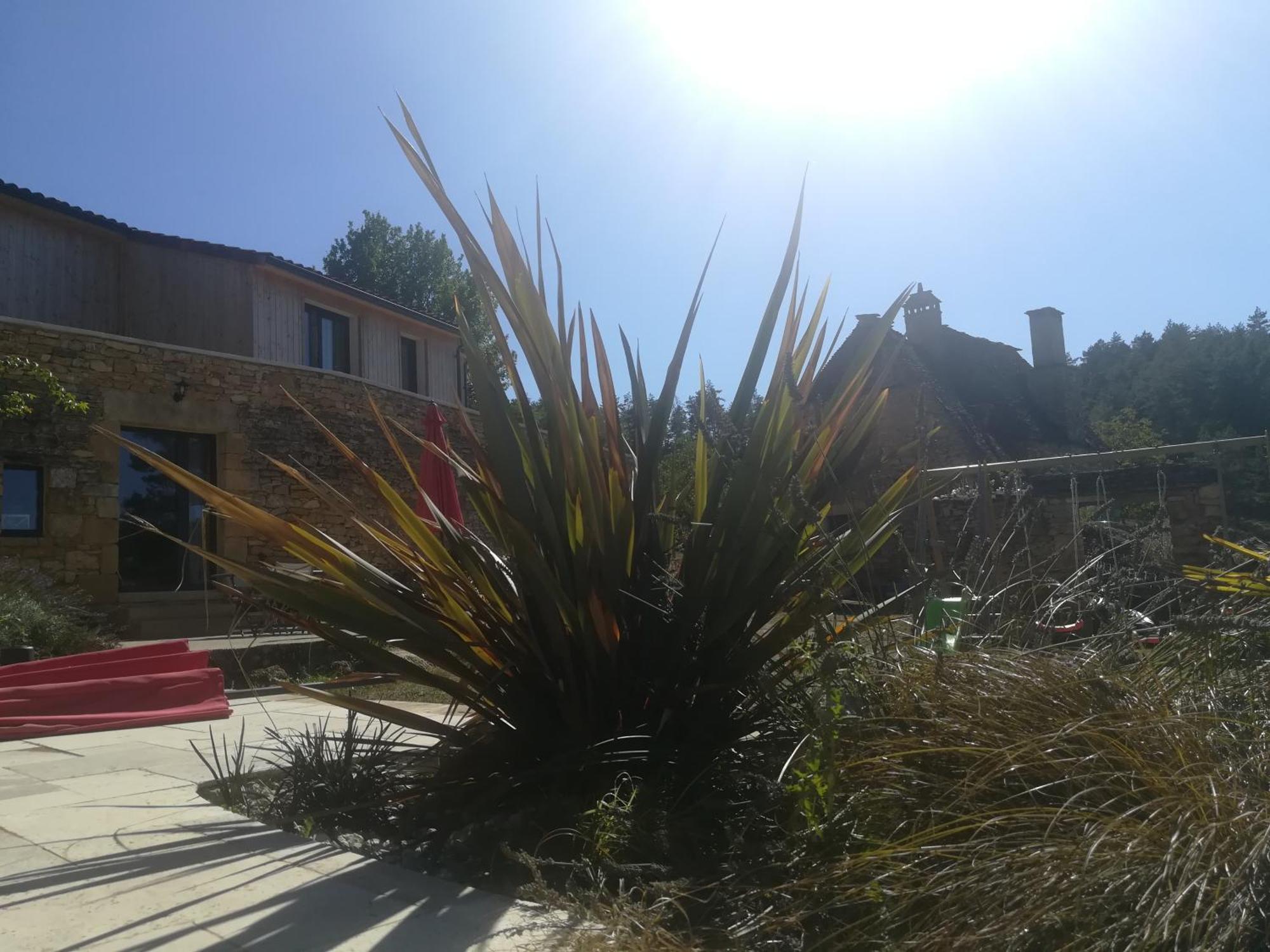 Gite Les Combes Montignac Lascaux Buitenkant foto